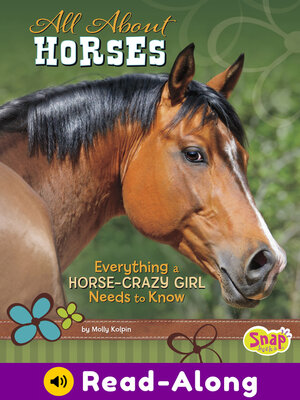 cover image of All About Horses